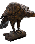 Bronze 'Black Eagle'
