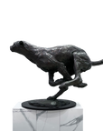 Azaro Cheetah