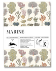 Marine Gift & Creative Paper