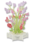 Blooming Card Sweet Pea