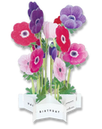 Blooming Card Anemone