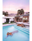 Tigers In Palm Springs - Paul Feuntes