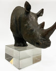Bronze Rhino Bust