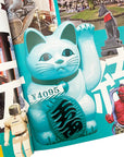 A Geek in Japan