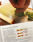 The Art and Science of Sushi