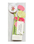 Blooming Card Ranunculus