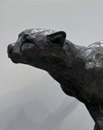 Azaro Cheetah