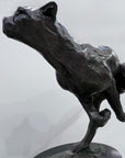 Azaro Cheetah
