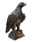 Bronze 'Black Eagle'