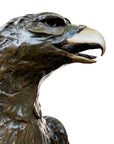 Bronze 'Black Eagle'