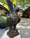 Bronze 'Black Eagle'