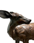 Grey Duiker 'Lifesize'