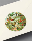 Art Forms In Nature Labels, Stickers & Tapes