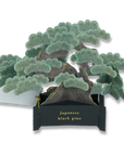 Blooming Card Bonsai