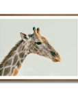 Generous Giraffe