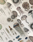 Marine Gift & Creative Paper