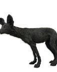 WILD DOG PUP