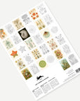Art Forms In Nature Artists Colouring Book