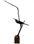 Early morning Sun - Sunbird