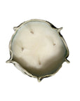 Barnacle Candle M