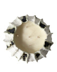 Urchin Candle L - Oxide