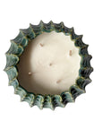 Urchin Candle L - Moss