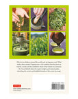 A Beginner's Guide to Japanese Tea