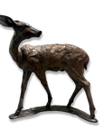 Grey Duiker 'Lifesize'