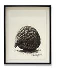 Playful Pangolin