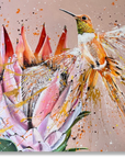 Humming Bird & Protea