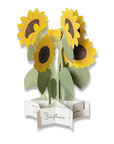 Blooming Card Sunflower