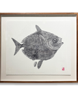 Moonfish (OPAH)