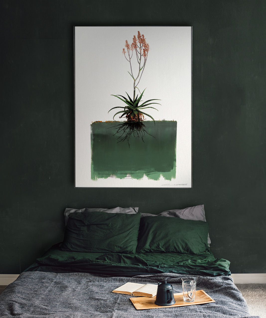 Greenii