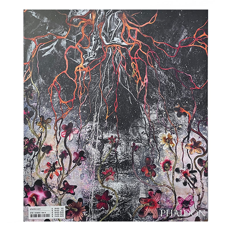 Wangechi Mutu - Phaidon