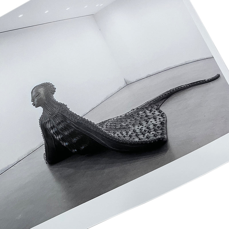Wangechi Mutu - Phaidon