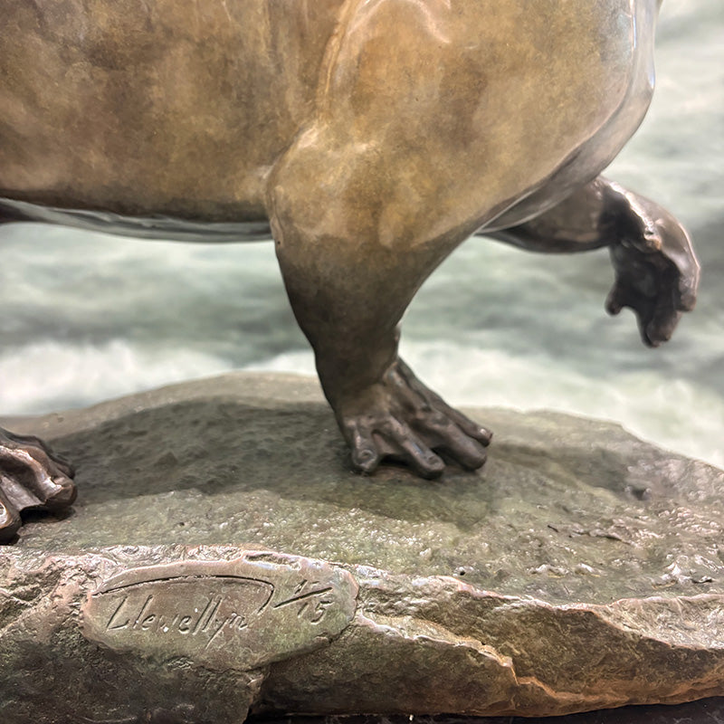 Otter 'Lifesize'