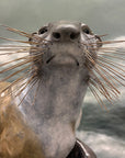 Otter 'Lifesize'