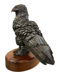 Bateleur Eagle