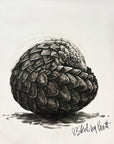 Playful Pangolin