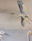 Egret background