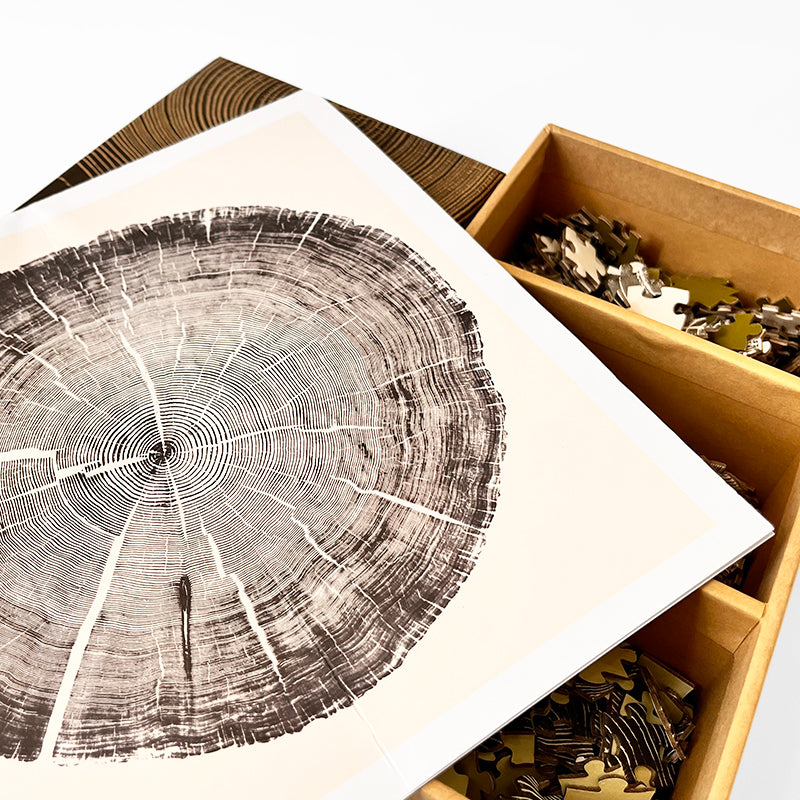 Princeton Architectural Press Woodcut: Three Puzzles
