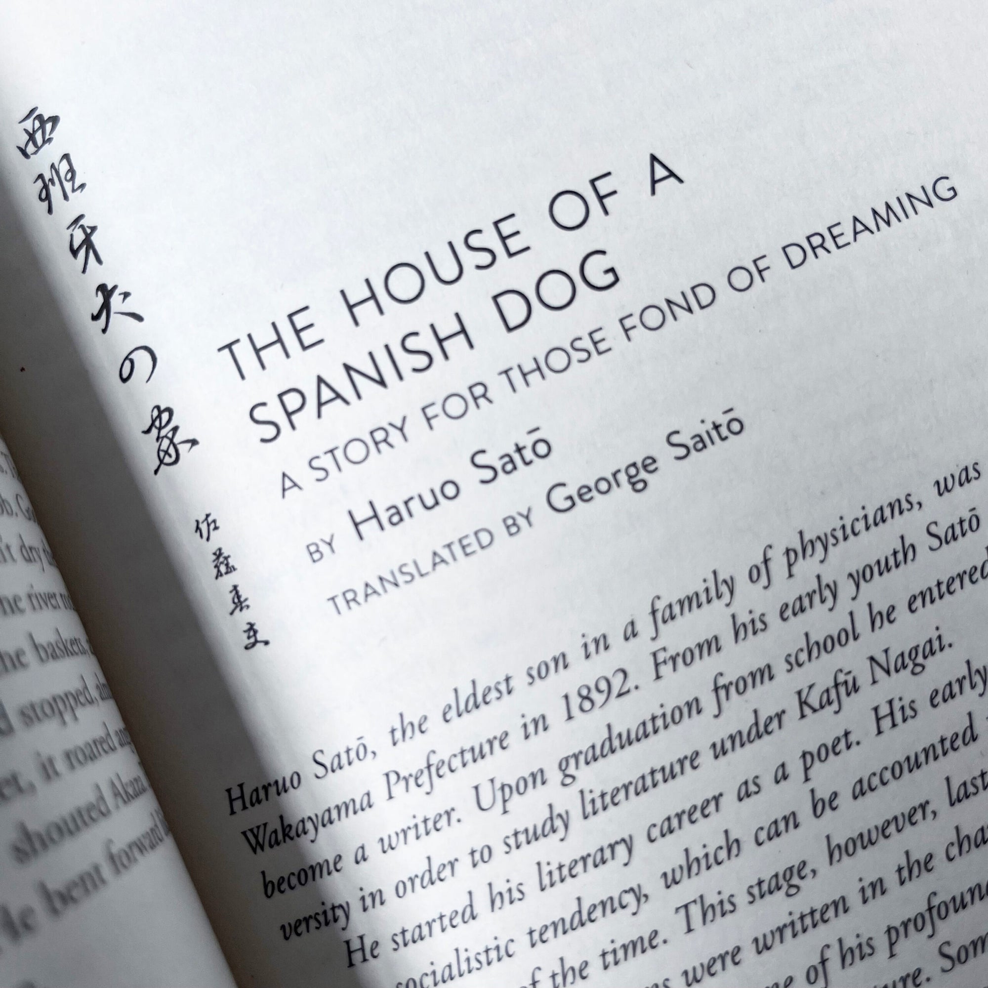 Modern Japanese Short Stories