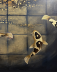 SEVEN KOI