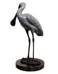Spoonbill 'Lifesize'