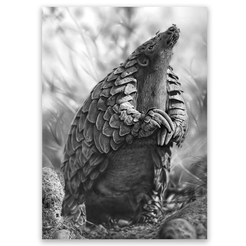 Kulu