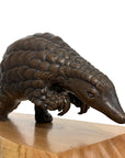 Pangolin