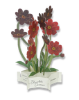 Blooming Card Chocolate Cosmos
