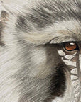 Baboon