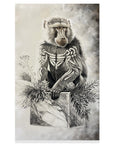 Baboon