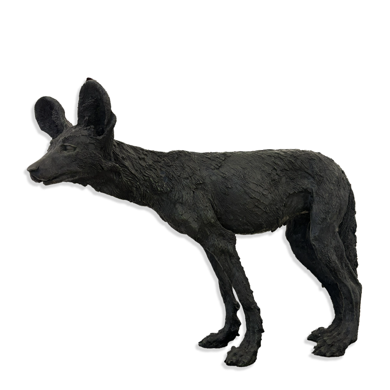WILD DOG PUP